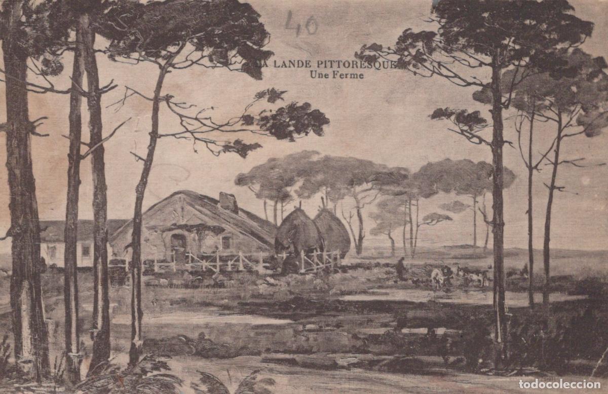 Cartoline: France Les Landes Pittoresques Une Ferme *YAB398