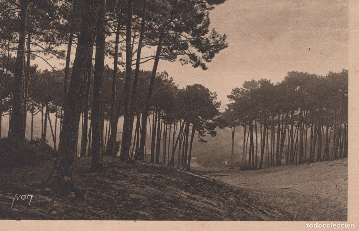 Postkarten: France Arcachon For&ecirc;t de Pins des Grandes Dunes Paysage Post&eacute;e *YAB394