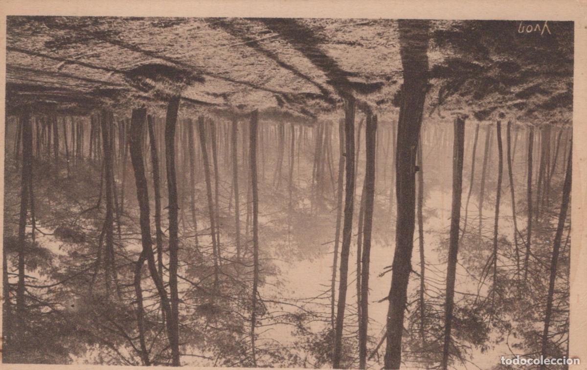 Postkarten: France Les Landes For&ecirc;t Brumeuse Yvon Unposted *YAB366