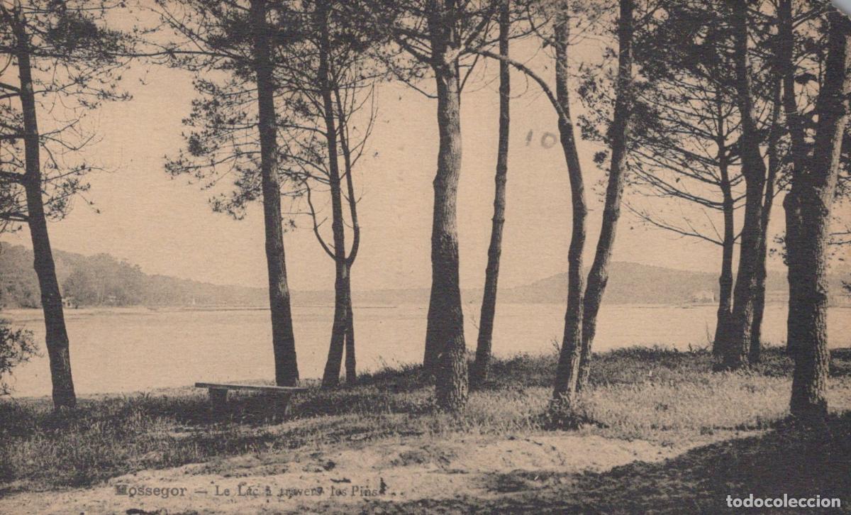 Cartoline: France Hossegor Lac &Agrave; Travers les Pins Paysage Unposted *YAB400