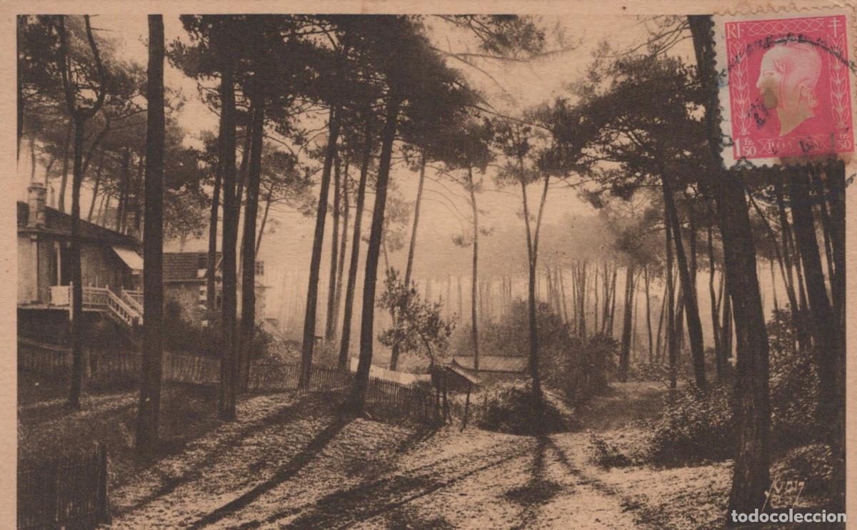 Postais: France Arcachon For&ecirc;t de Pins Avec Villa Ville D Hiver *YAB634