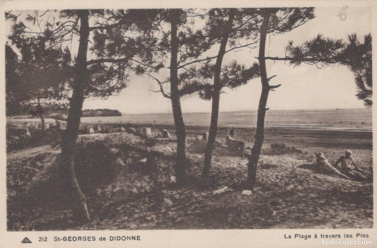 Postcards: France St Georges de Didonne Plage &Agrave; Travers les Pins *YAB487