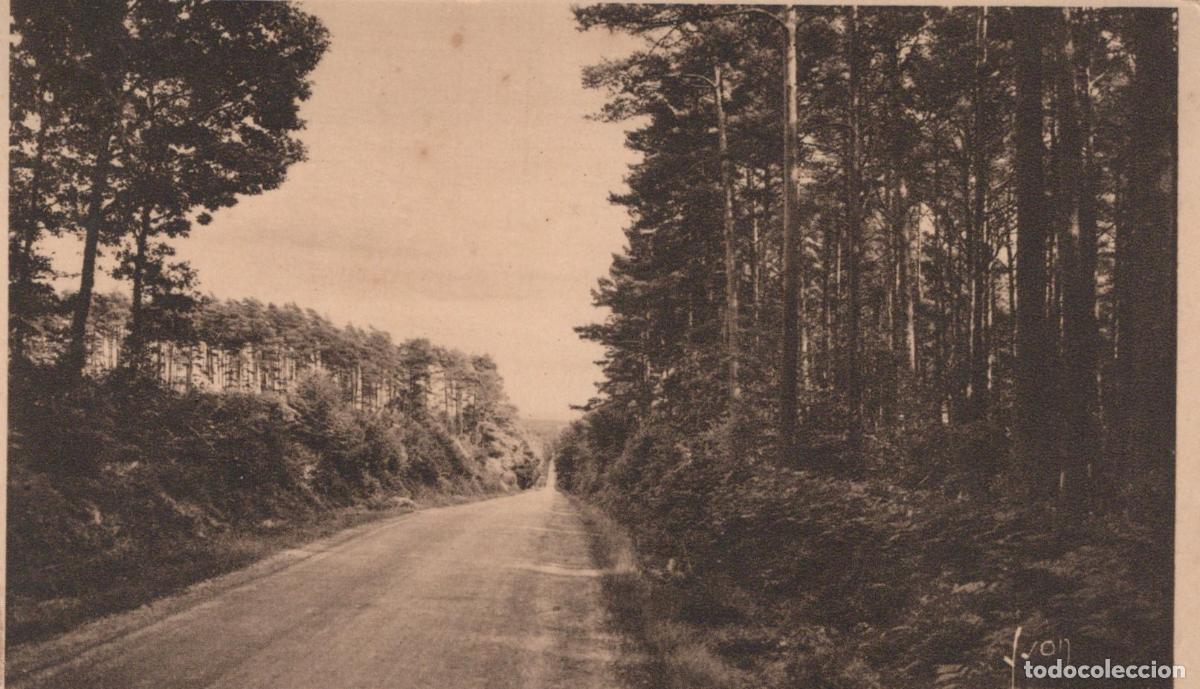 Cartes Postales: France Bagnoles de L Orne For&ecirc;t D Andaine Route Foresti&egrave;re Unposted *YAB621