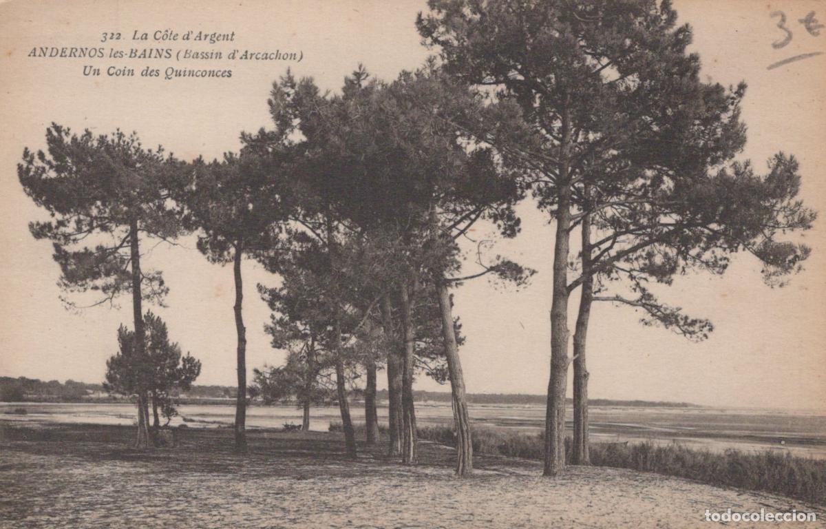 Postales: France Andernos les Bains Bassin D Arcachon Paysage C&ocirc;tier Unposted *YAB626