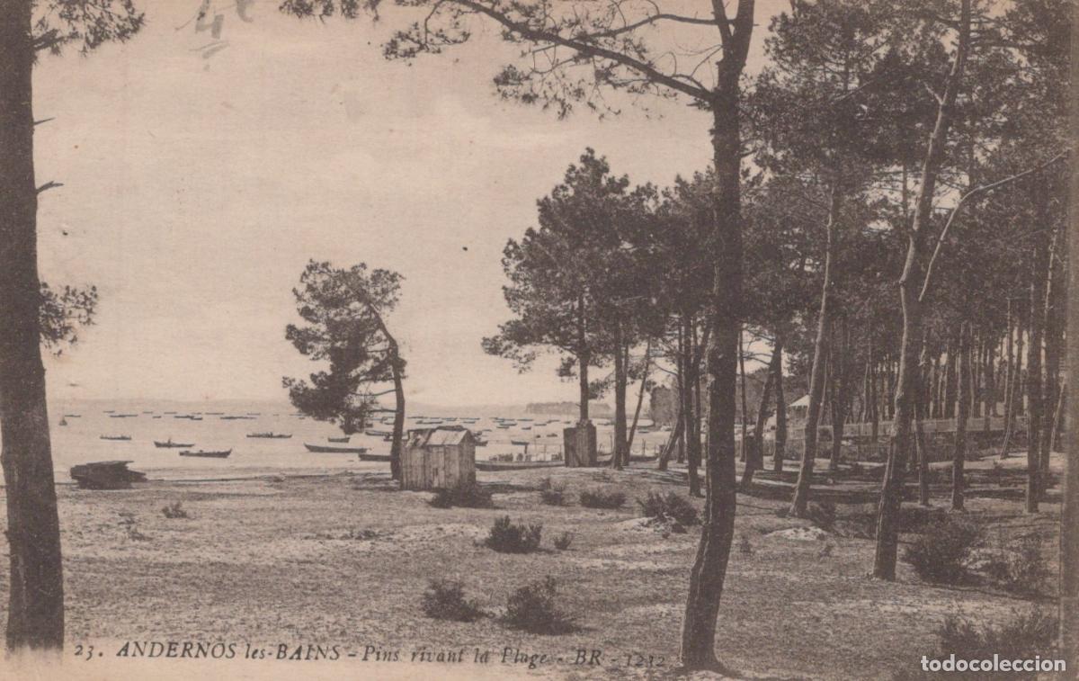 Postales: France Andernos les Bains Pins Plage Bateaux *YAB628