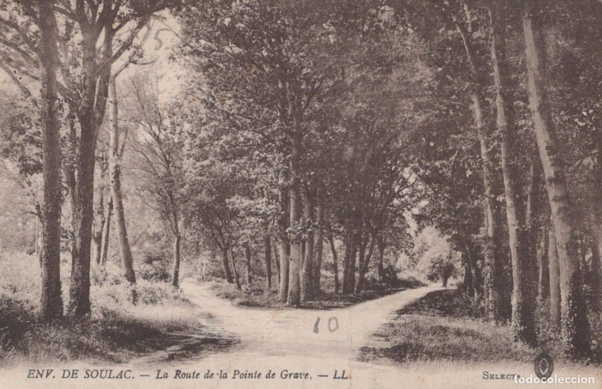 Cartes Postales: France Soulac sur Mer Paysage Forestier Route de la Pointe de Grave *YAB899
