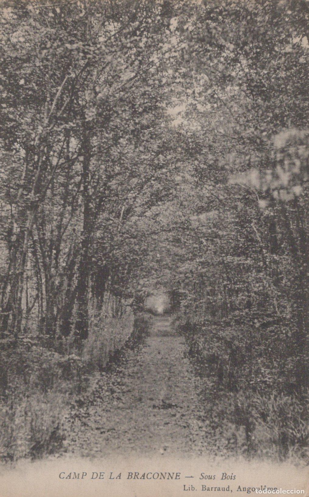Postales: France Angoul&ecirc;me Angouleme N Aquitaine Camp de la Braconne For&ecirc;t *YAB998