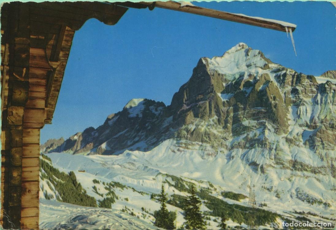 Postales: N&ordm; 642-GRINDELWALD. Suiza. Gran Scheidegg con Wetterhorn. Circulada en 1945. ED. VERLAG