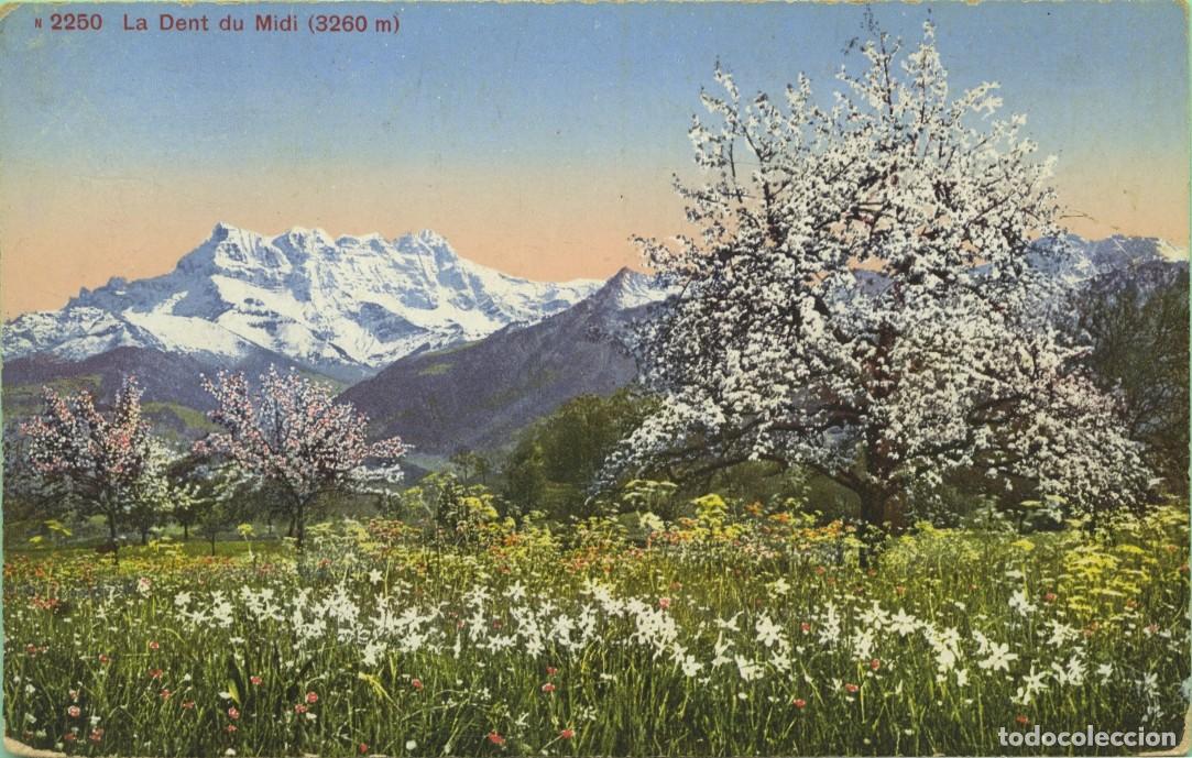 Postales: N&ordm; 2250-Le Dent du Midi (3260 m). Francia. Sin circular. ED. SOIES A COUDRE