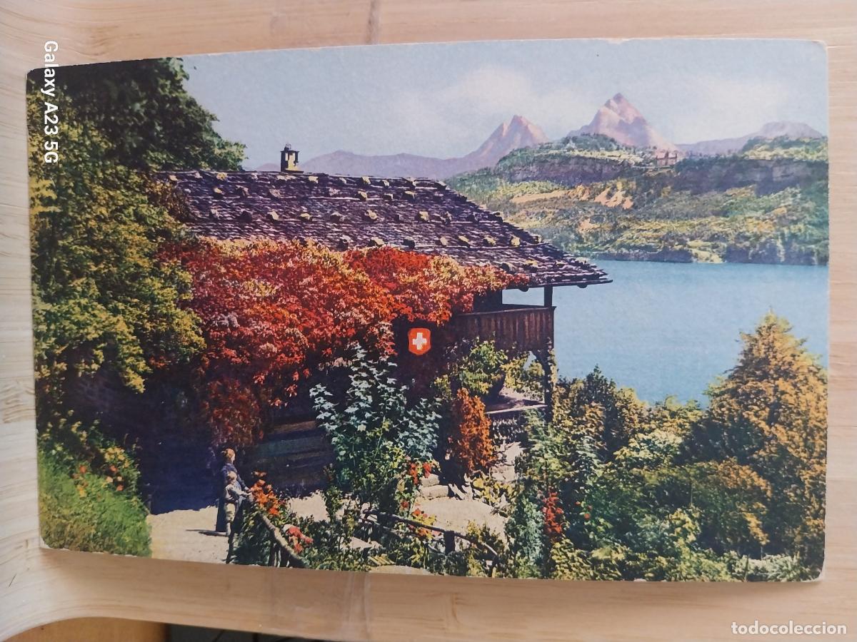 Postales: RUTLI SUIZA PAISAJE BUCOLICO POSTAL ED WZC SERIE 79 SC ORIGINAL