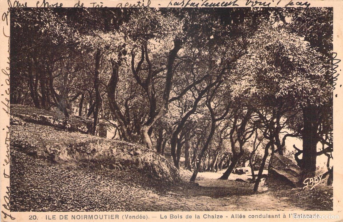 Postais: Postal de Le Bois de la Chaize, Isla de Noirmoutier, Francia