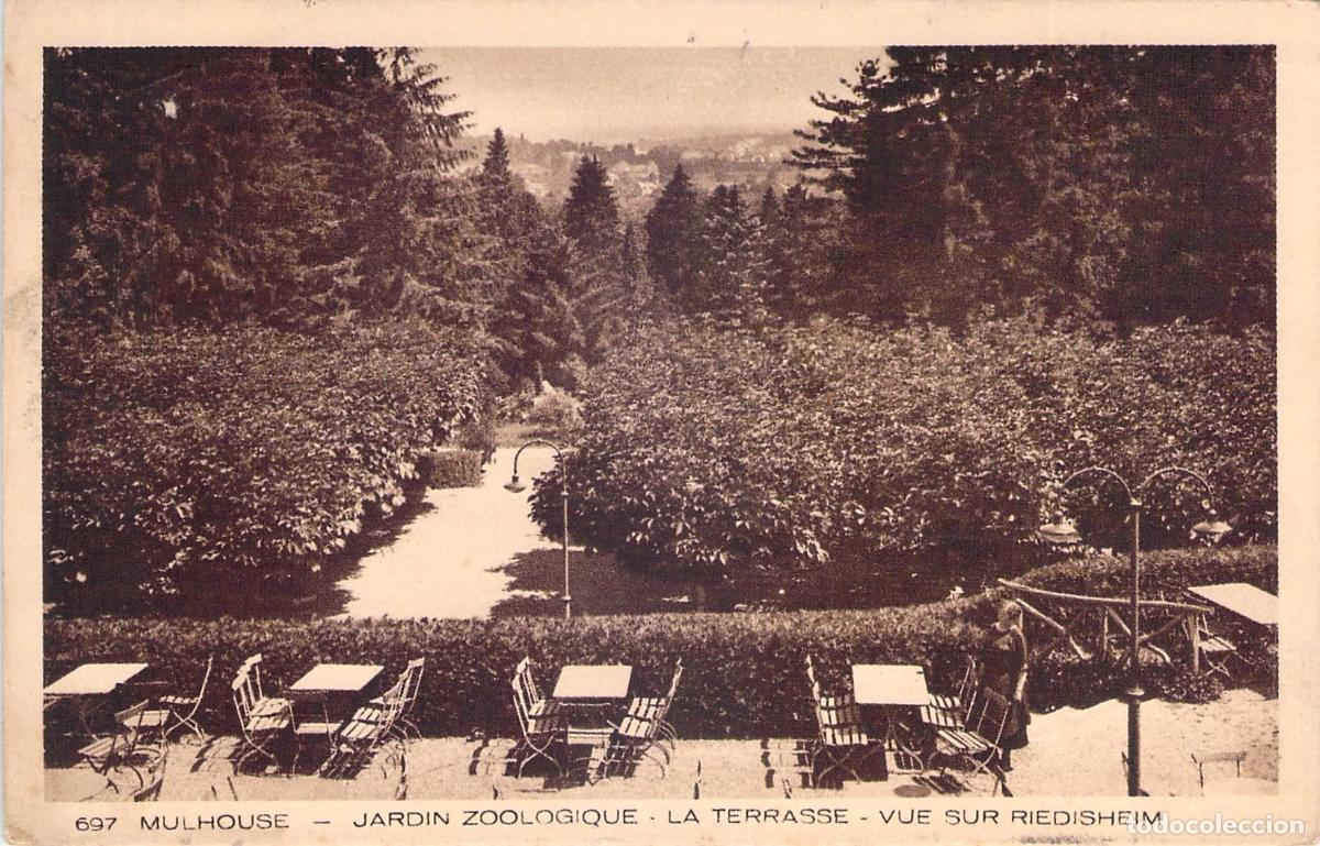 Cartes Postales: Postal de la terraza del Jard&iacute;n Zool&oacute;gico de Mulhouse con vista a Riedisheim