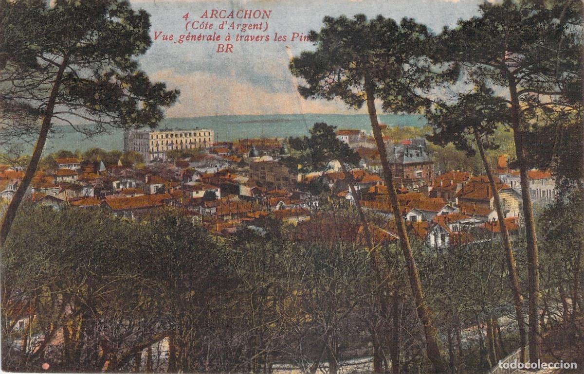 Postais: Postal de Arcachon Francia vista general entre pinos