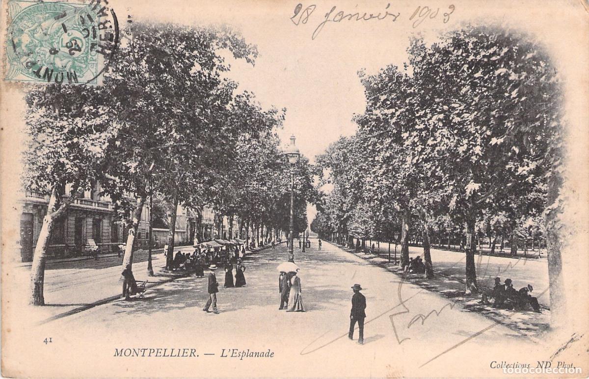 Postales: Postal de L'Esplanade en Montpellier, Francia