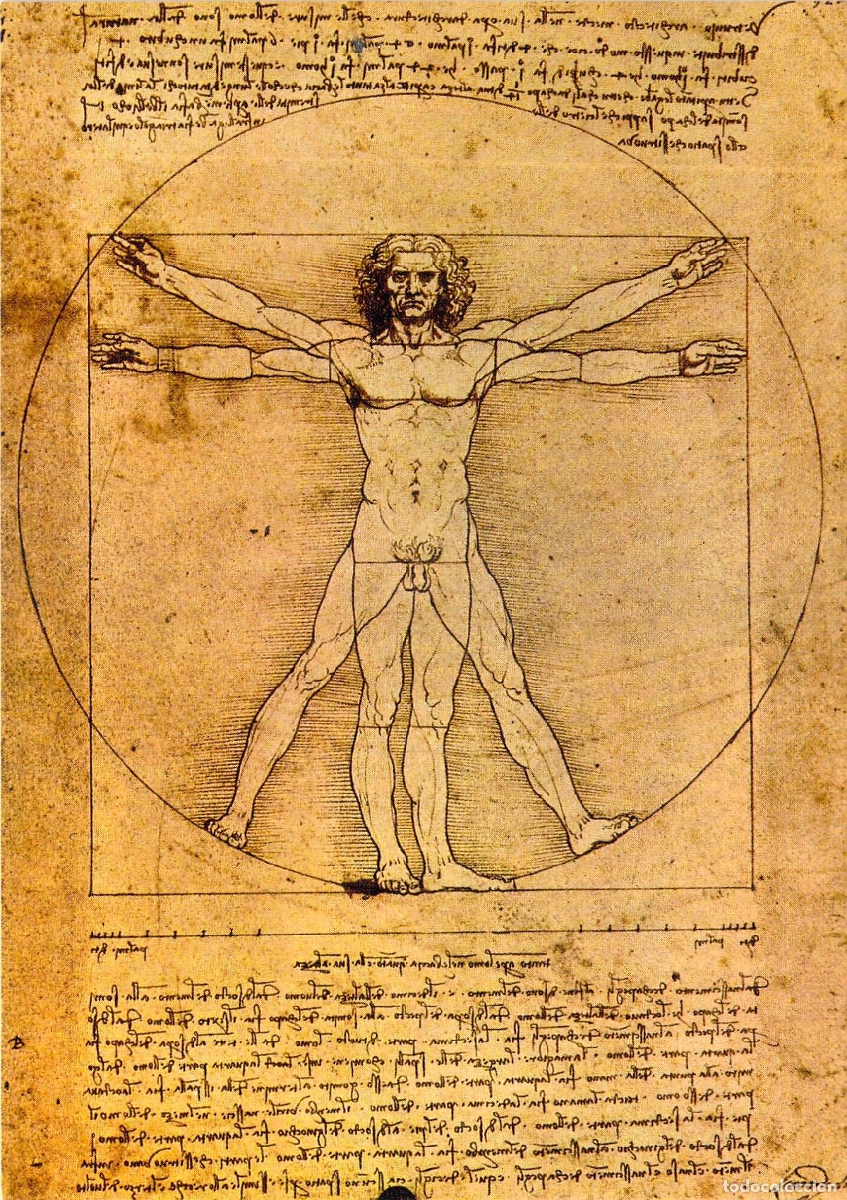 Postales: Postal del Hombre de Vitruvio de Leonardo da Vinci