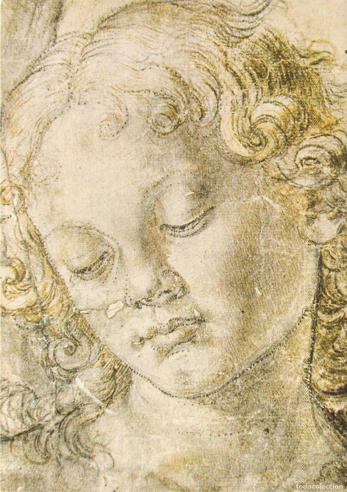 Postales: Postal de Florencia: Cabeza de mujer de Verrocchio en la Galer&iacute;a Uffizi