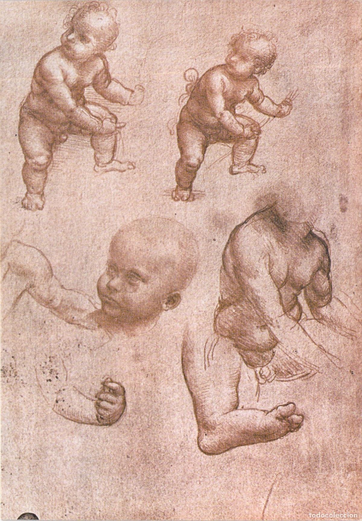 Postales: Postal con bocetos de estudio de ni&ntilde;os de Leonardo da Vinci