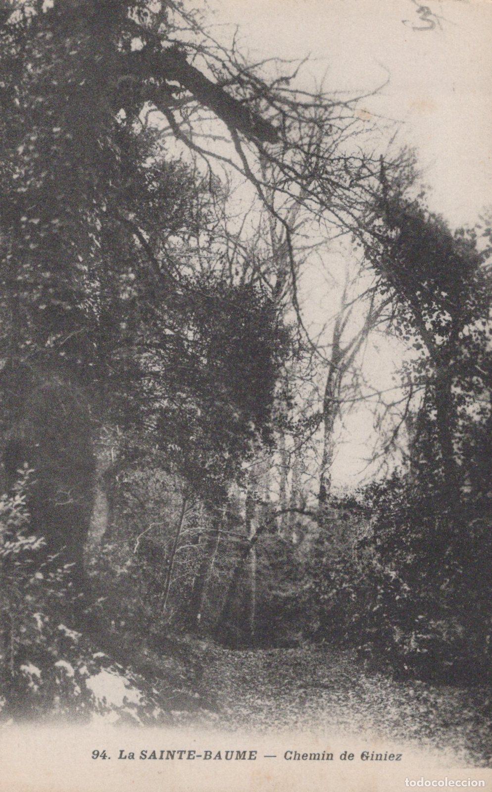 Postales: France La Sainte Baume Provence Chemin de Giniez Paysage Unposted *YAC136