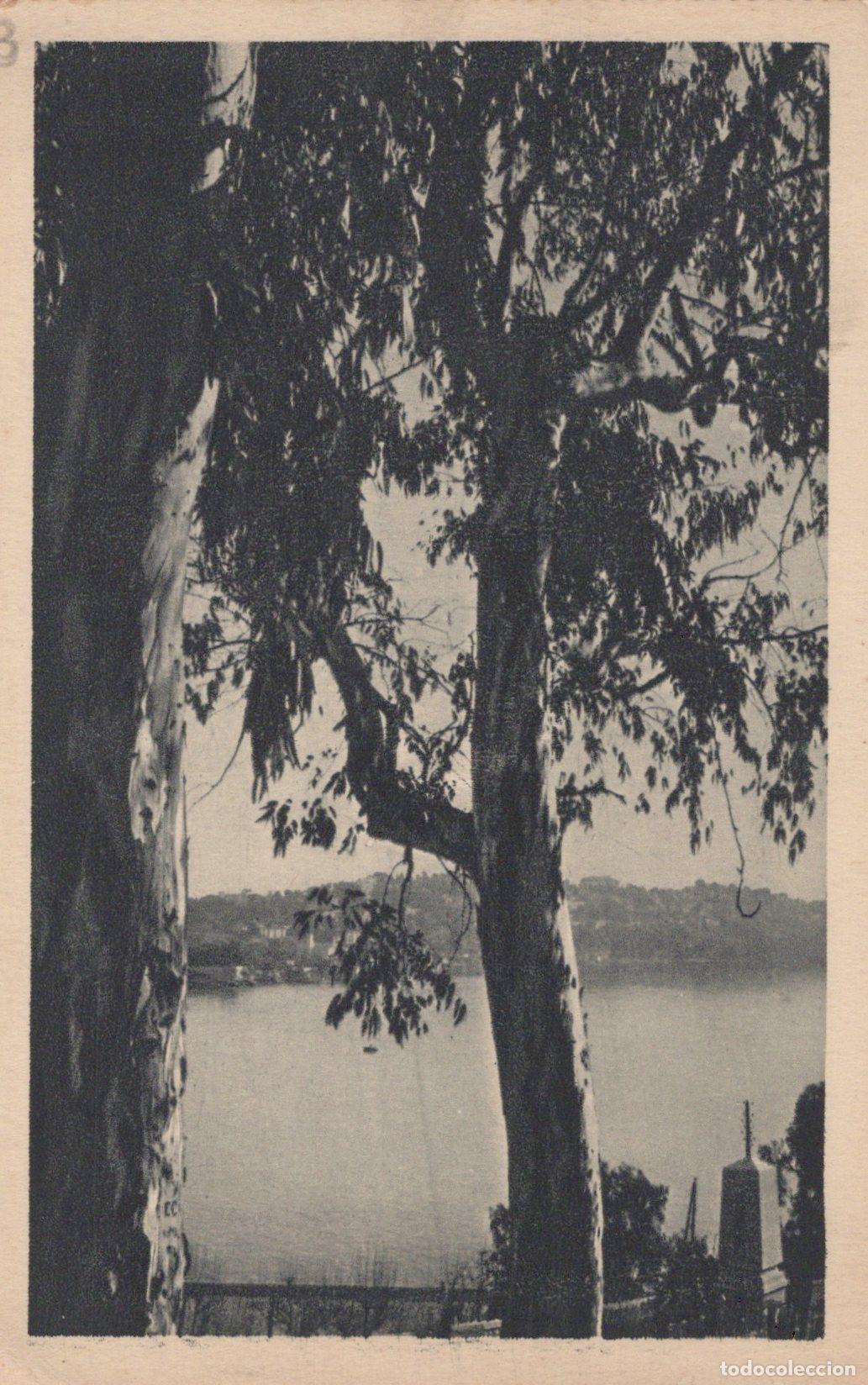 Cartoline: France Localit&eacute; Inconnue Paysage Lacustre Arbres Vue Encadr&eacute;e D Unposted *YAC128