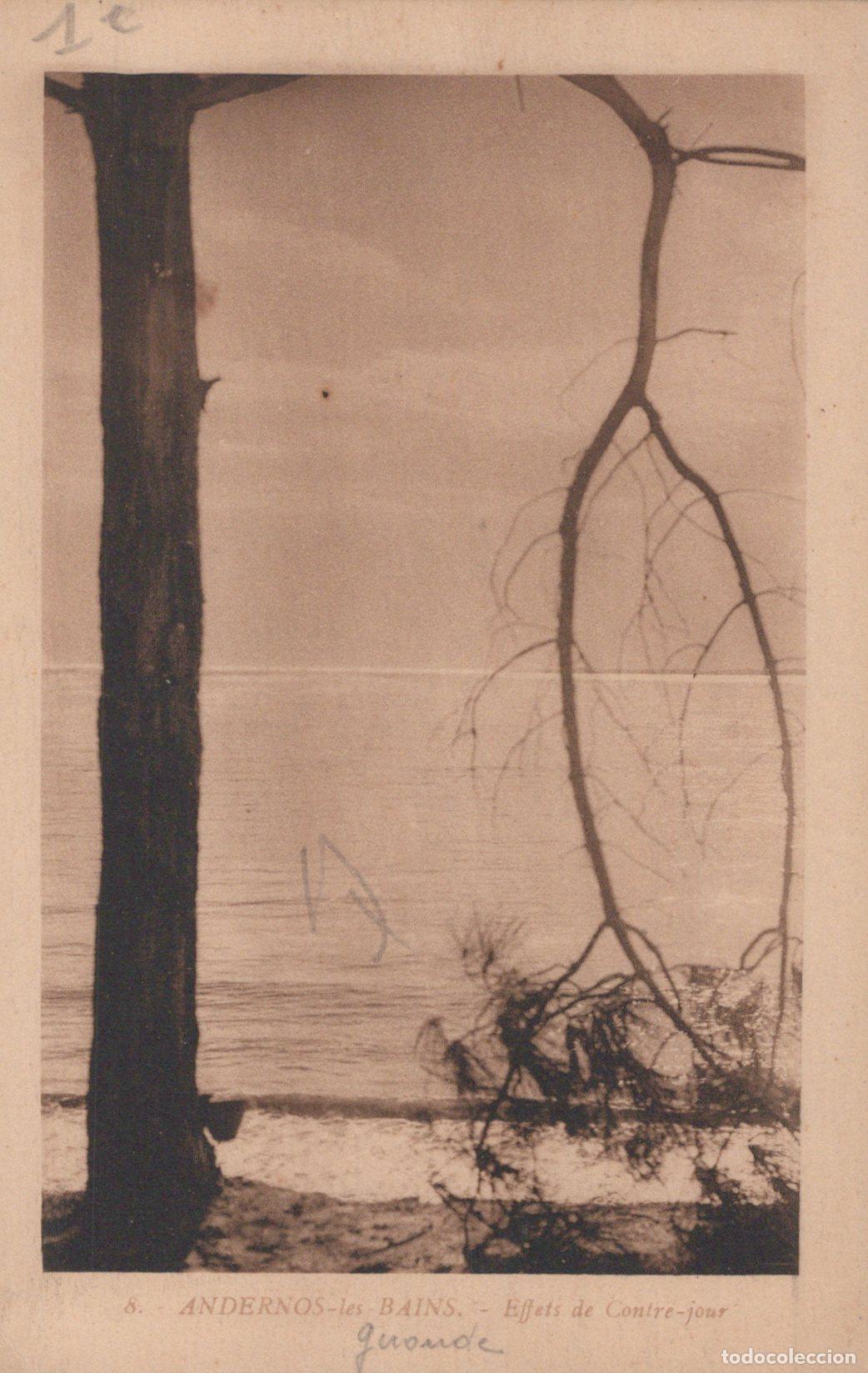 Postkarten: France Andernos les Bains Paysage Baln&eacute;aire Arbre et Mer Contre Unposted *YAC085