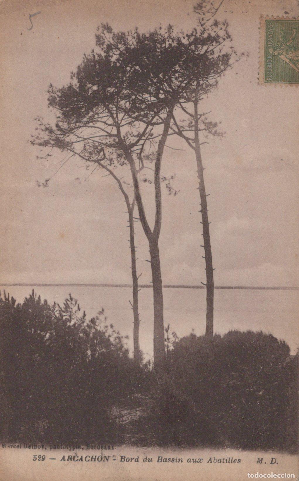 Postkarten: France Arcachon Gironde Bord du Bassin Aux Abatilles Pins Paysage C&ocirc;tier *YAC078