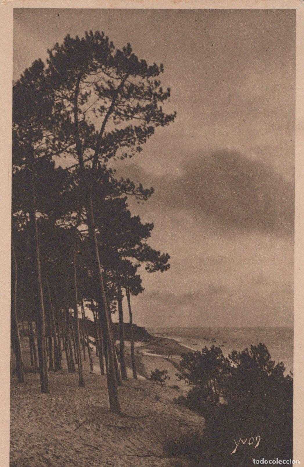 Cartes Postales: France Arcachon Paysage C&ocirc;tier Plage du Moulleau Unposted *YAC079
