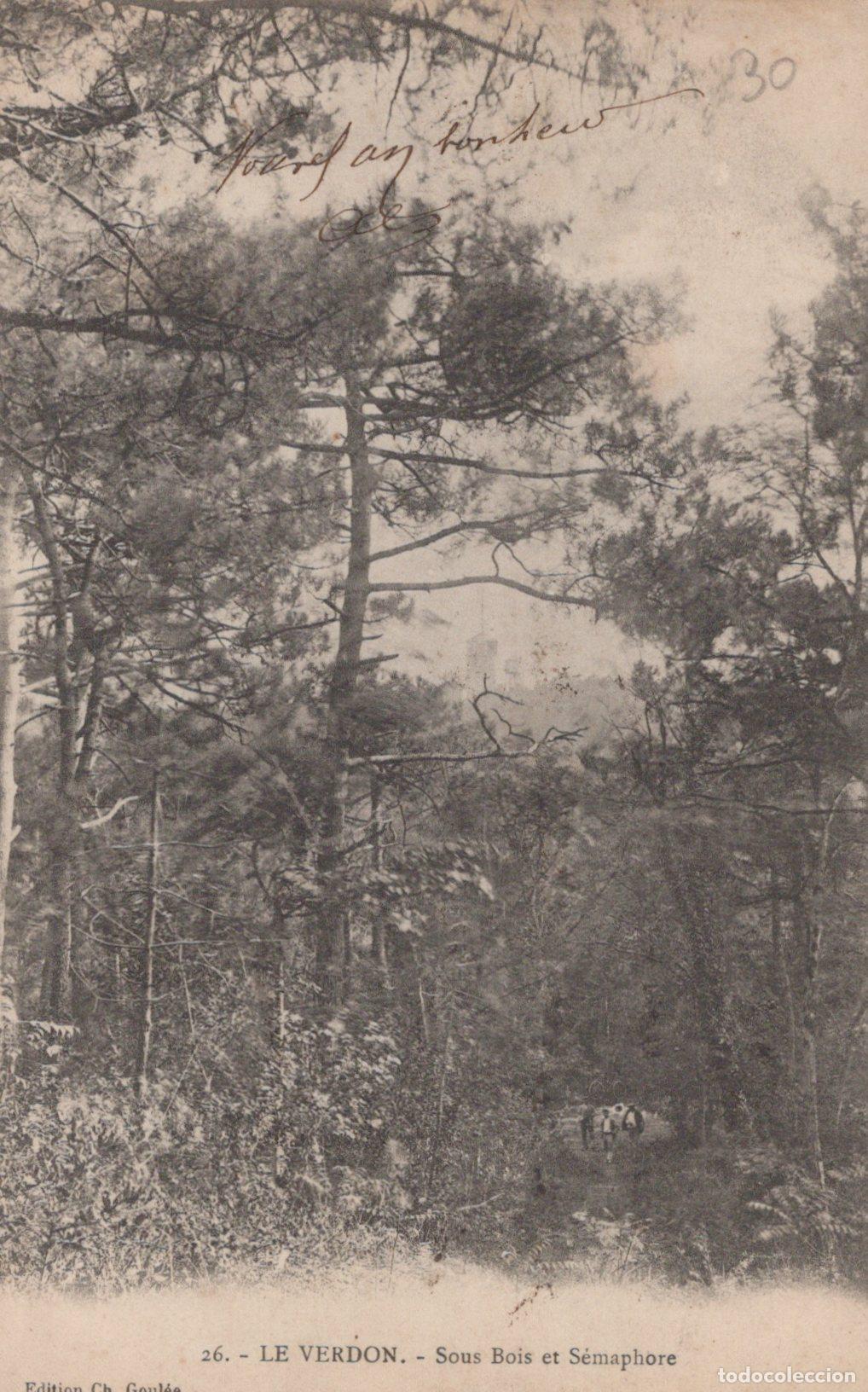 Postkarten: France Le Verdon Paysage Forestier sous Bois et S&eacute;maphore *YAC004