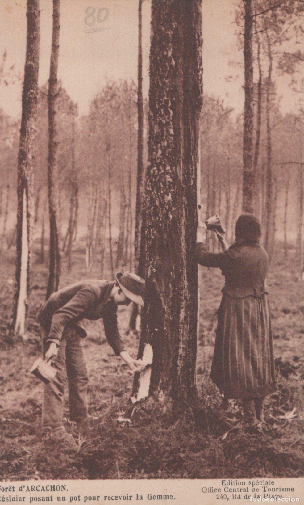 Postkarten: France Arcachon R&eacute;siniers For&ecirc;t D Unposted *YAC254