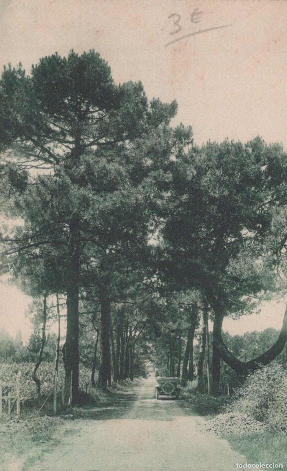 Cartes Postales: France Ronce les Bains Route Bois&eacute;e la Tremblade Voiture Vintage *YAC305
