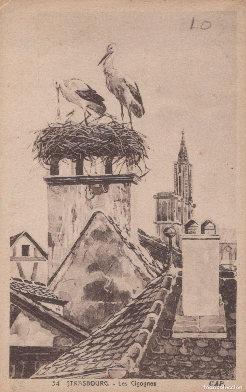 Cartes Postales: France Strasbourg Cigognes sur Chemin&eacute;e Cath&eacute;drale *YAC297