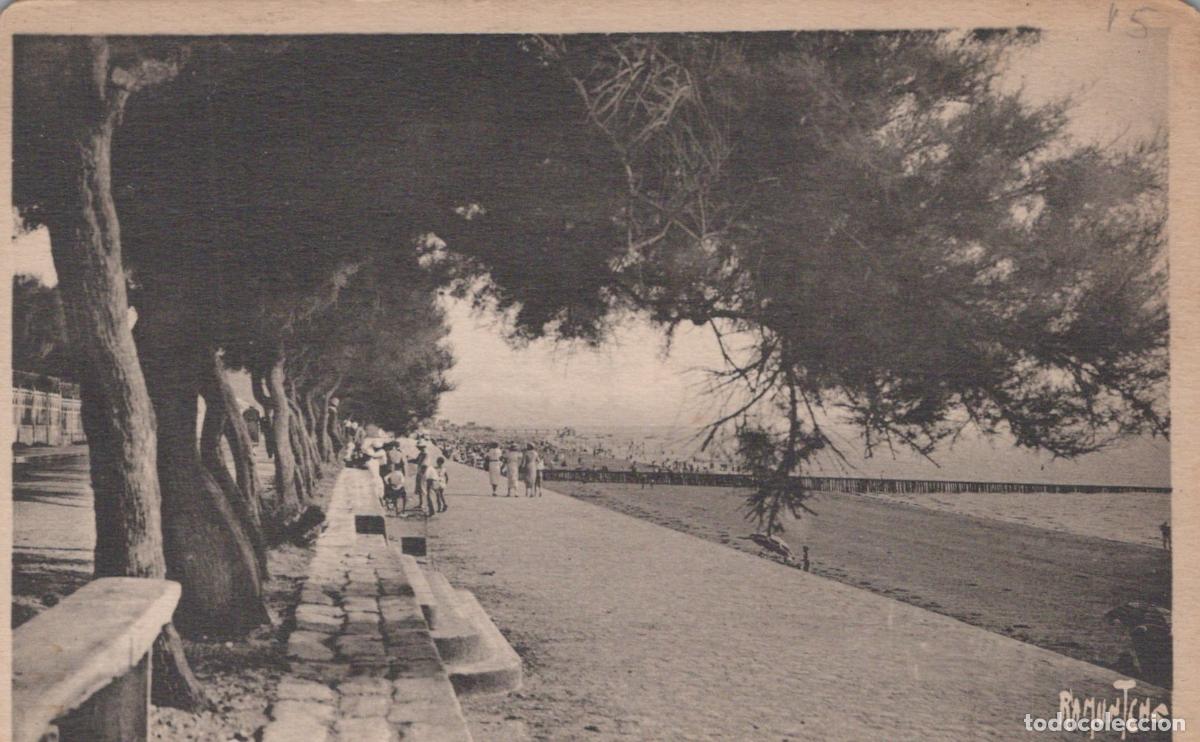 Postcards: France Arcachon Promenade Plage Pins *YAC535