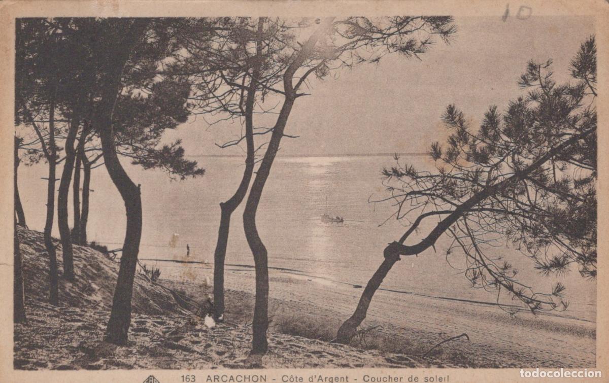 Postcards: France Arcachon C&ocirc;te D Argent Plage et Pins Coucher de Soleil *YAC656