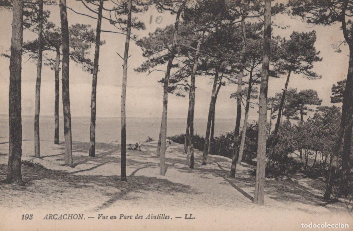 Postcards: France Arcachon Parc Abatilles Pins Bassin Unposted *YAC662
