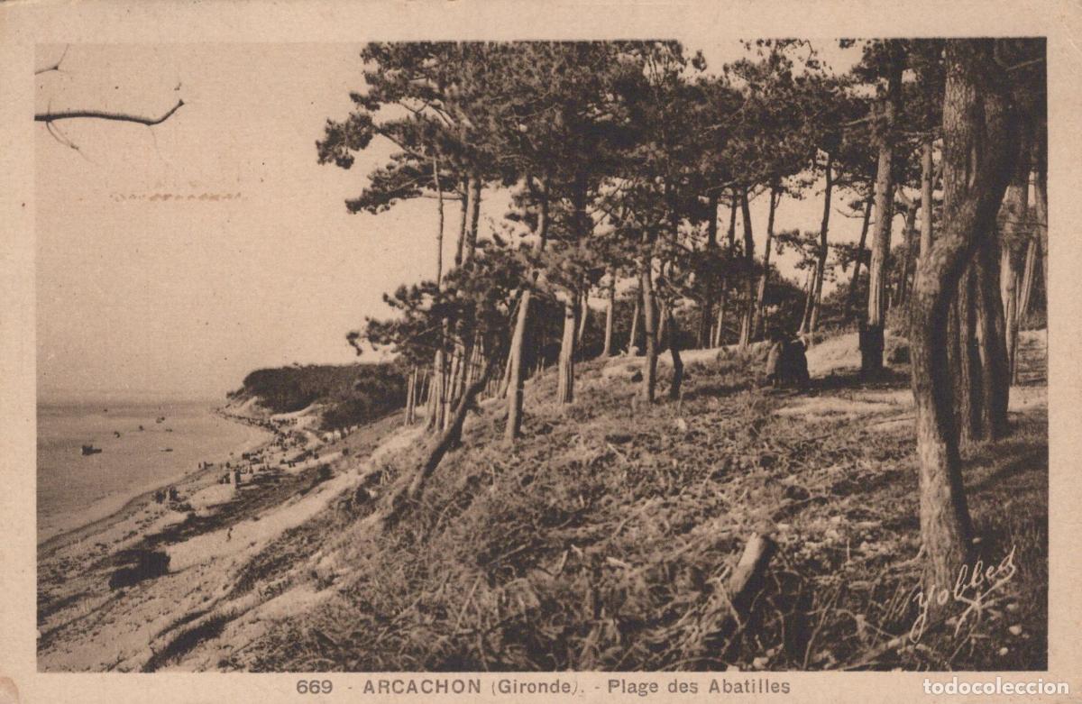 Postales: France Arcachon Plage des Abatilles For&ecirc;t de Pins sur la C&ocirc;te *YAC702