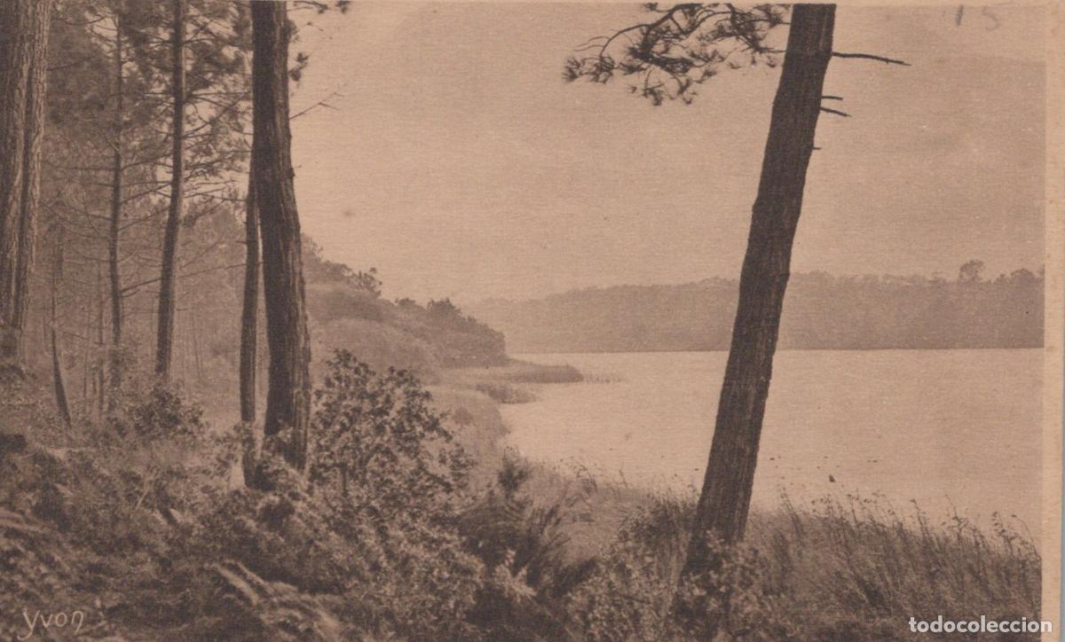 Postkarten: France Moliets Landes L &Eacute;tang de Laprade Paysage des Landes *YAC699