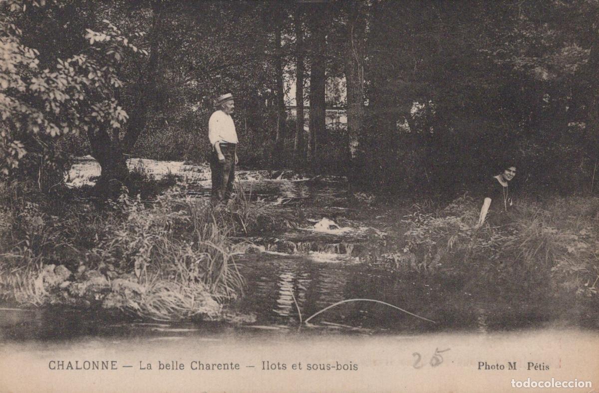 Postkarten: France Chalonne La Belle &Icirc;lots et sous Bois Unposted *YAC541