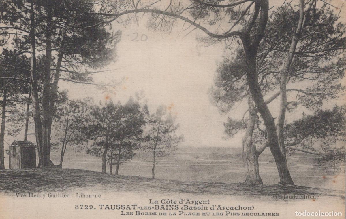Postkarten: France Taussat les Bains C&ocirc;te D Argent Plage et Pins Unposted *YAC720