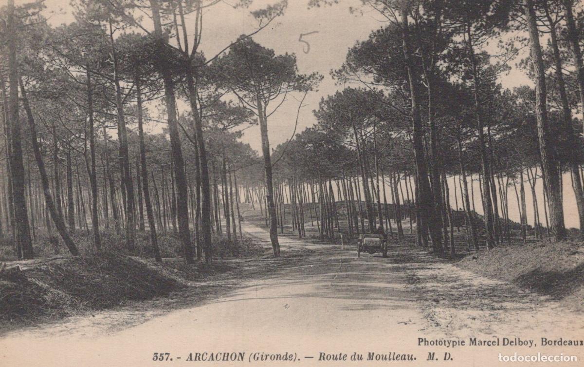 Cartoline: France Arcachon Route du Moulleau Pin&egrave;de et V&eacute;hicule Unposted *YAC730
