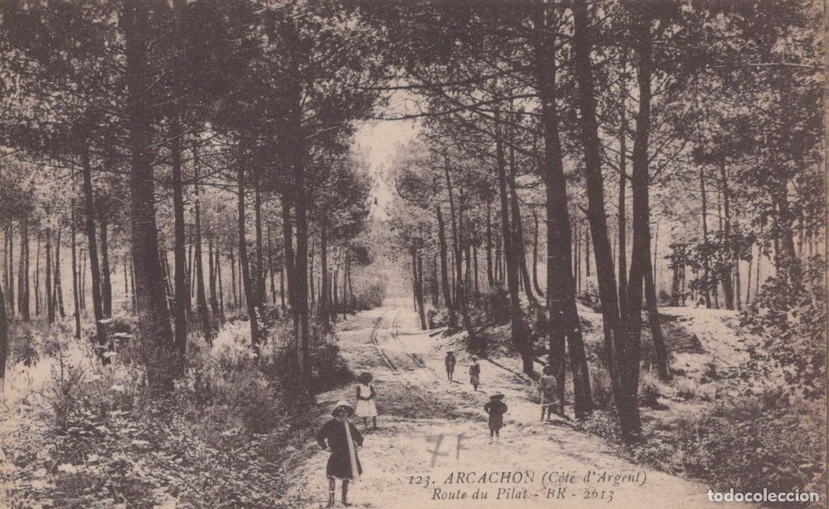 Postales: France Arcachon For&ecirc;t Chemin Dune du Pilat Paysage Enfants Unposted *YAC735
