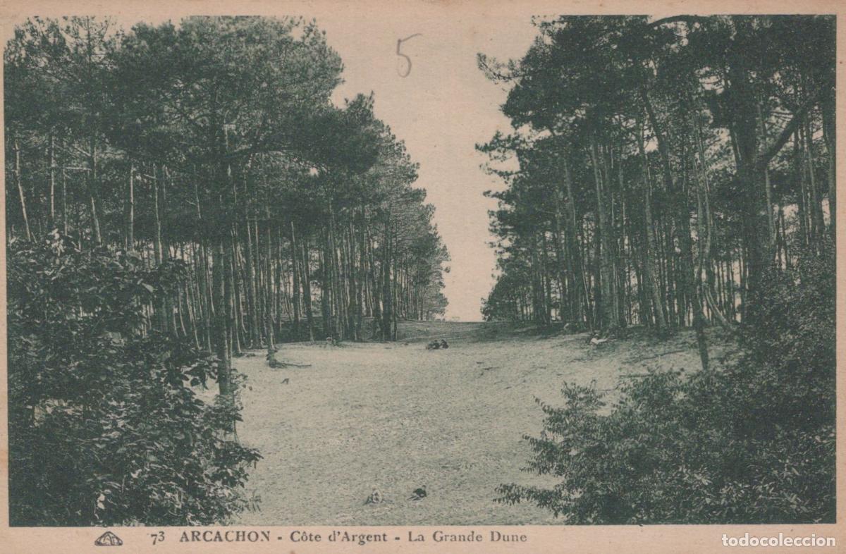 Postales: France Arcachon La Grande Dune For&ecirc;t de Pins Unposted *YAC742