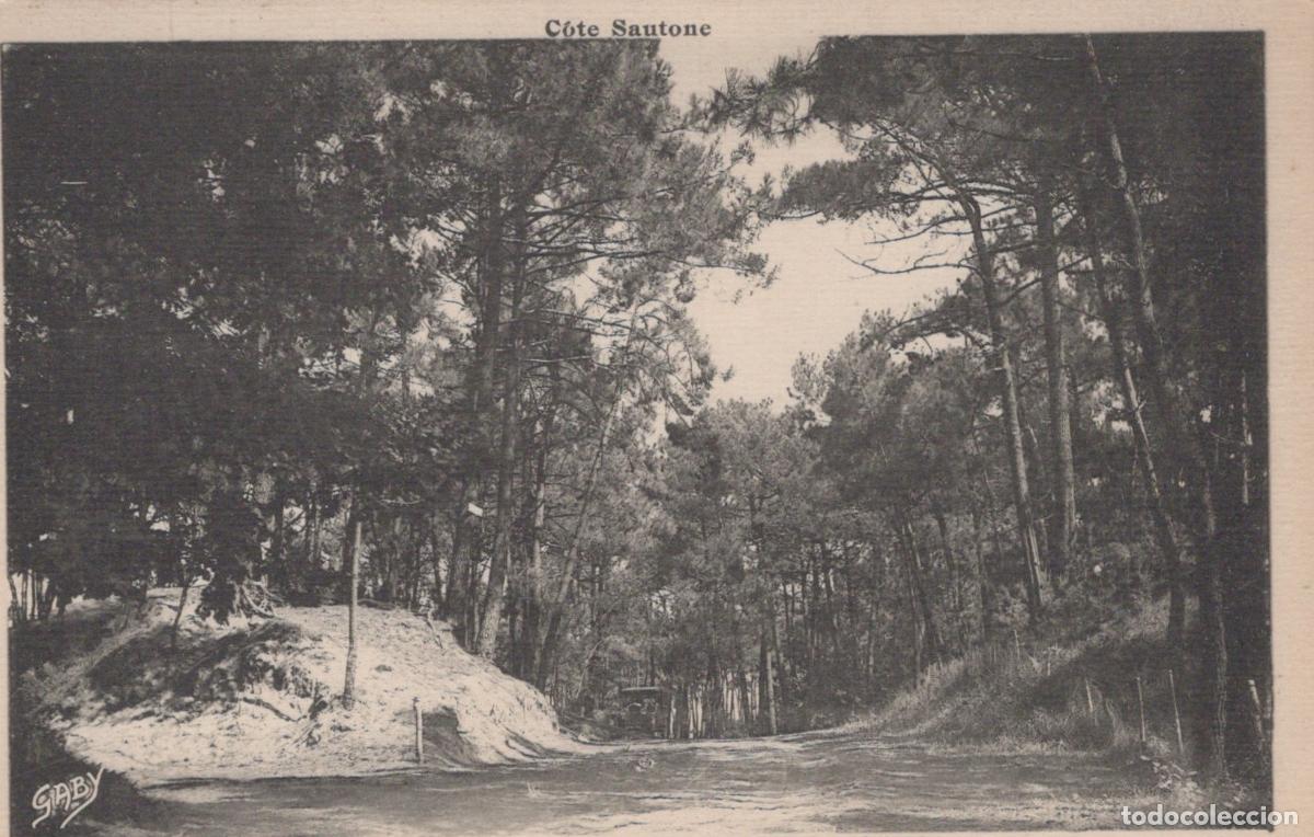 Cartes Postales: France La Tremblade For&ecirc;t C&ocirc;te Santone Paysage Unposted *YAC775