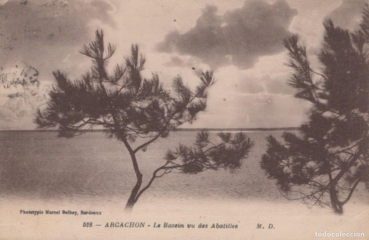 Cartoline: France Arcachon Bassin des Abatilles Avec Pins Affranchie *YAC800