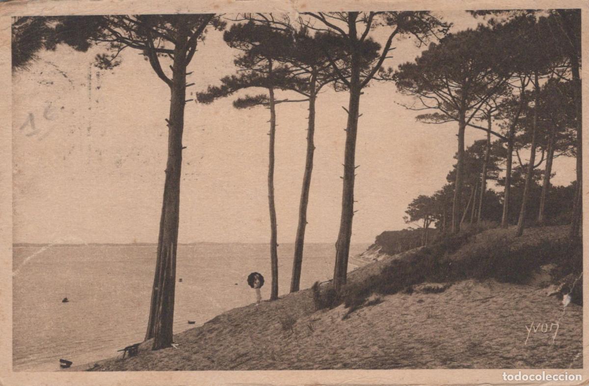 Cartoline: France Le Moulleau C&ocirc;te D Argent Plage Pins *YAC805