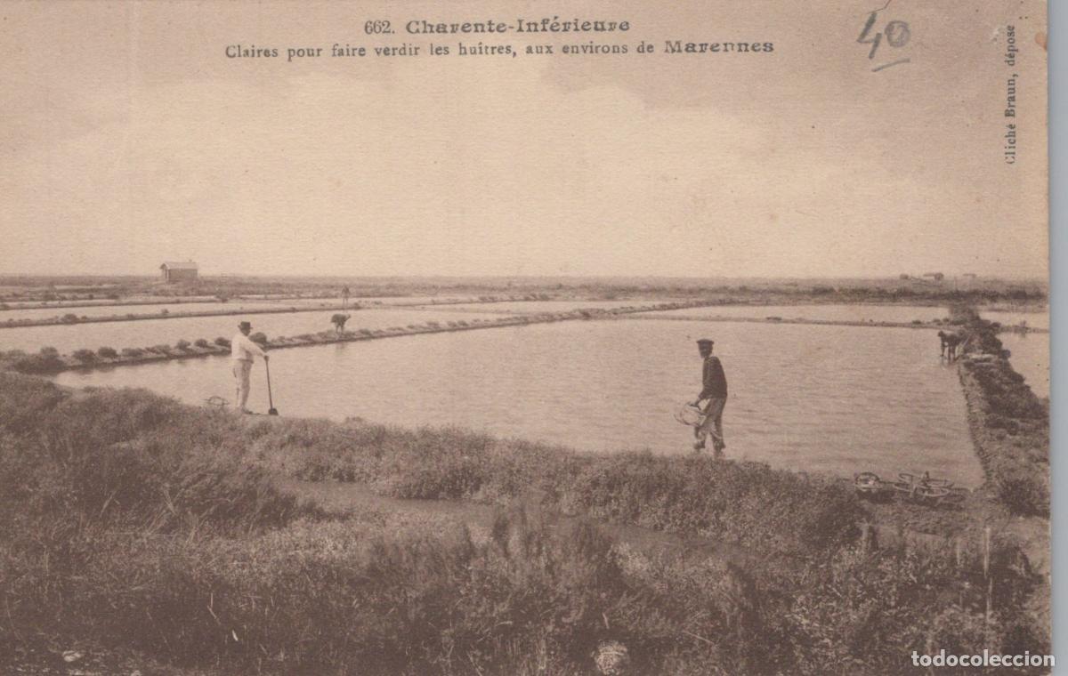 Postkarten: France Marennes Ostr&eacute;iculture Unposted *YAC814