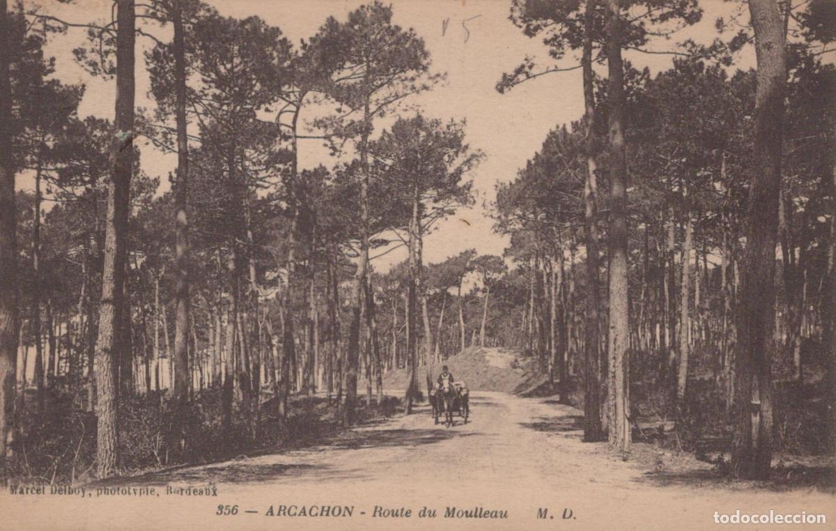 Postcards: France Arcachon Route du Moulleau Cal&egrave;che For&ecirc;t de Pins *YAC698