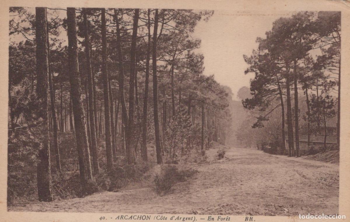 Postcards: France Arcachon For&ecirc;t de Pins Paysage Nature Unposted *YAC703