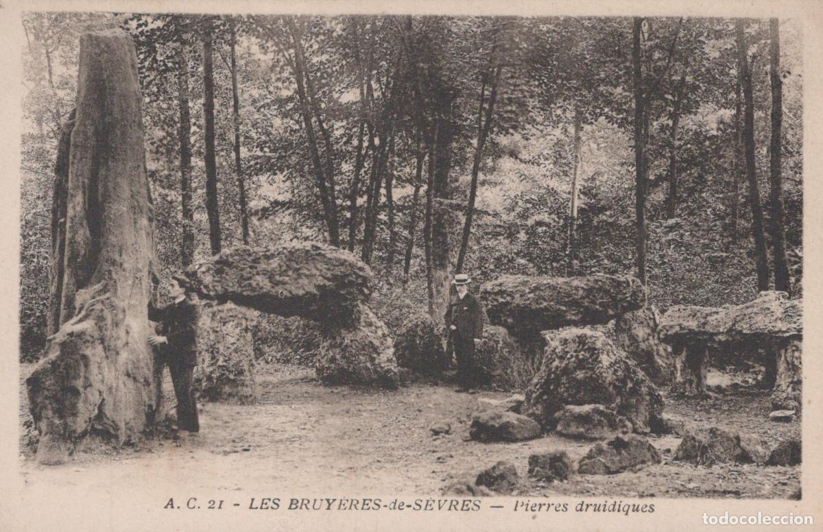 Postcards: France S&egrave;vres &Icirc;le de Pierres Druidiques Site M&eacute;galithique *YAC928