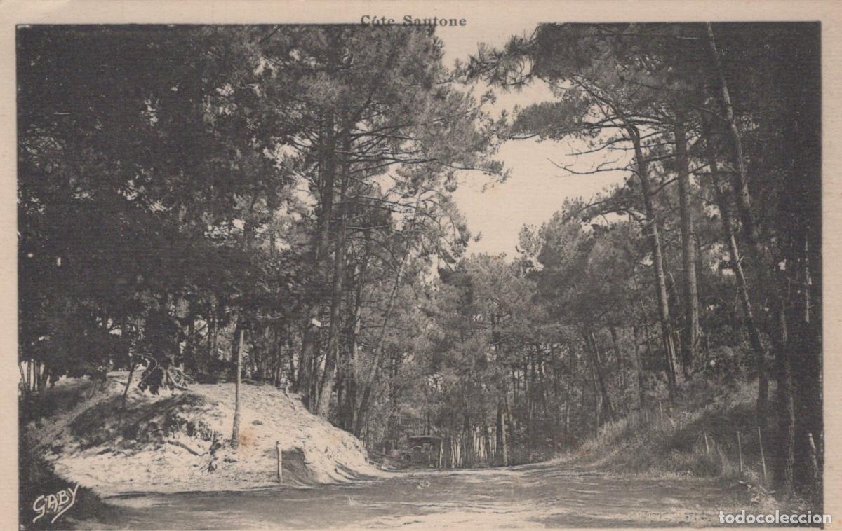 Postkarten: France La Tremblade For&ecirc;t de Pins Chemin Sableux C&ocirc;te Sautone Unposted *YAC813