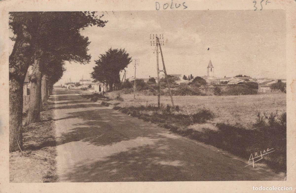 Postais: France Dolus &Icirc;le D Ol&eacute;ron Route du Ch&acirc;teau &Agrave; Saint Denis Paysage *YAC816