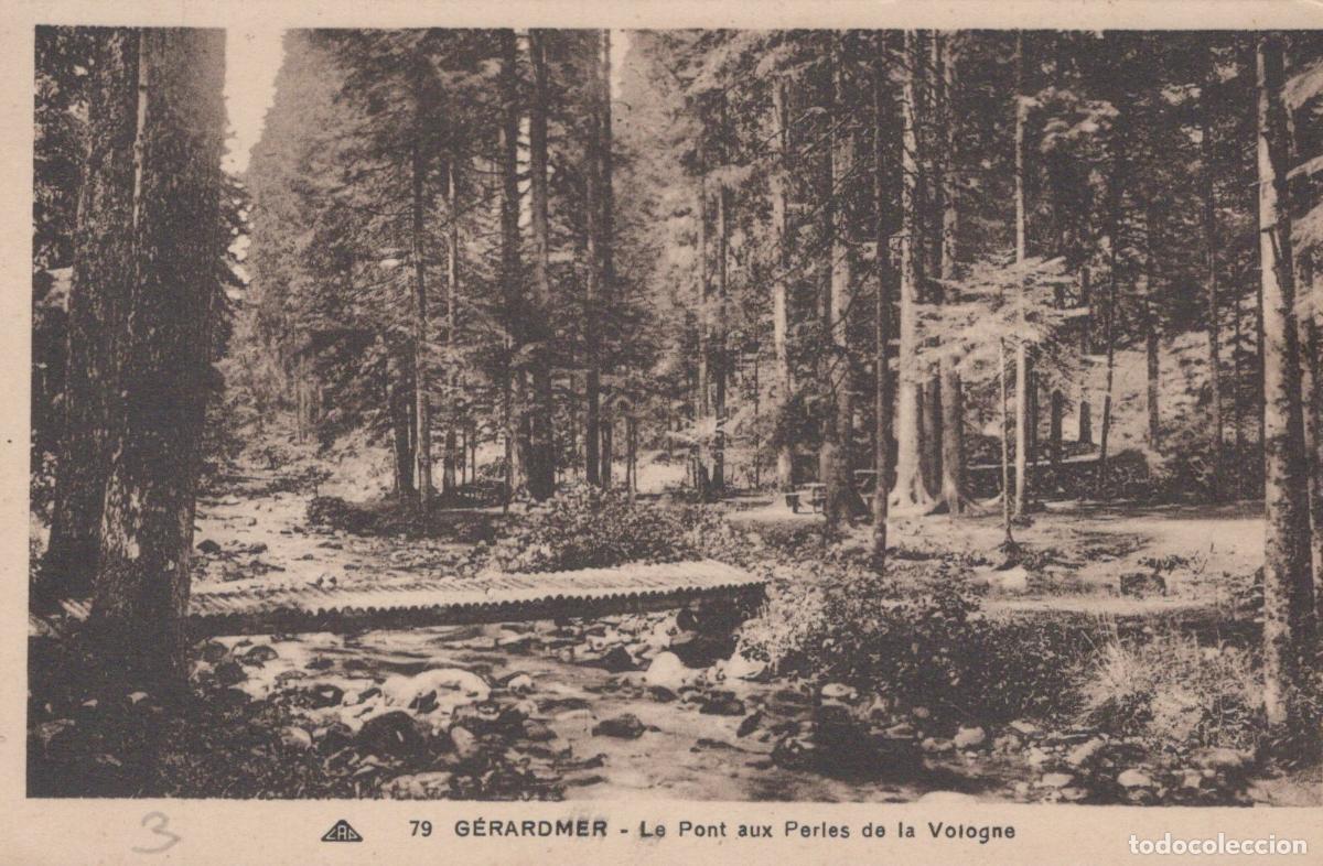 Cartes Postales: France G&eacute;rardmer Pont Aux Perles Vologne Paysage Forestier Unposted *YAC831